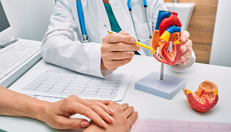 Cardiologo: dalla formazione alla professione dello specialista  