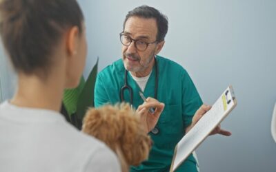 Test Veterinaria 2025: nuove regole e funzionamento